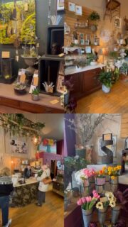 Gifts, flowers, gardens 💐

We're doing our spring shopping @flowersbydesignwindsor