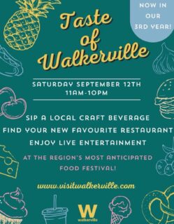 Just a TASTE of today!

Come visit Walkerville from 10AM-11PM and experience this one of a kind event! 🎉
